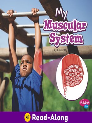 cover image of My Muscular System